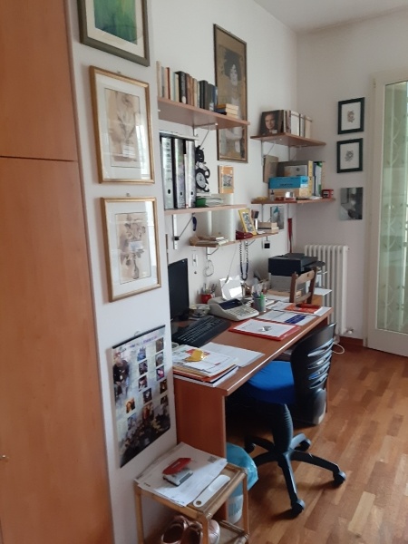 immagine annuncio 9 di 13