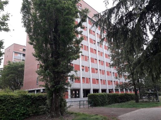 immagine annuncio 11 di 15