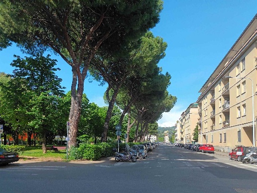 immagine annuncio 8 di 14