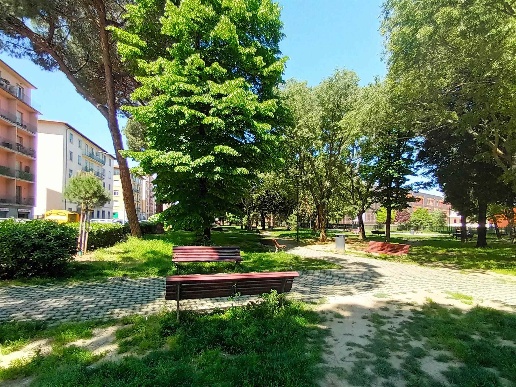 immagine annuncio 11 di 14