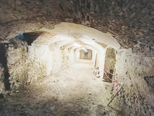 immagine annuncio 9 di 14