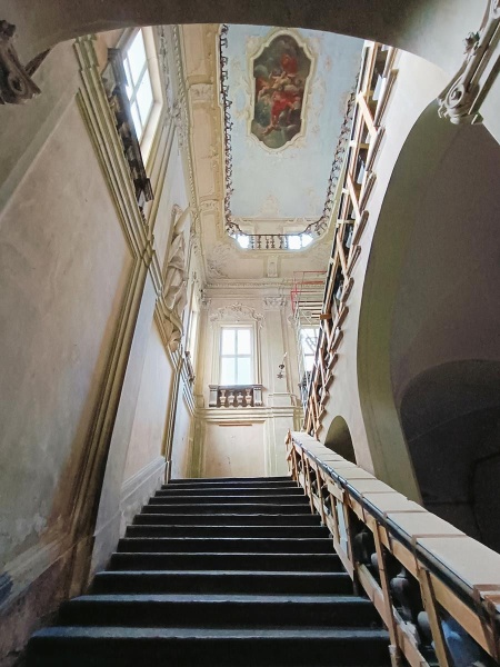 immagine annuncio 12 di 14