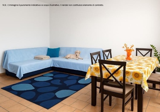 immagine annuncio 8 di 13