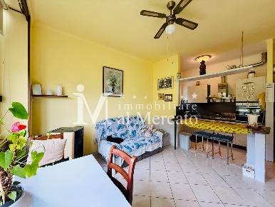 Foto Appartamento a Viareggio in vendita