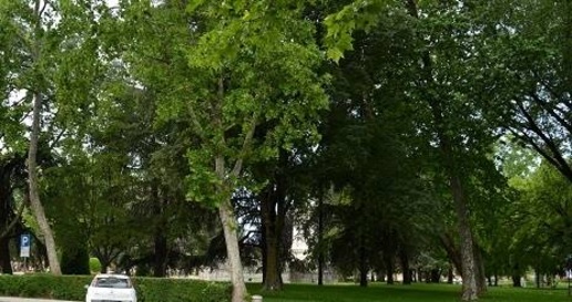 Foto Appartamento a Mantova Centro di 165 m² con 3 locali in vendita