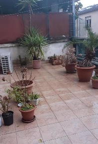 Foto Appartamento a Massa in vendita