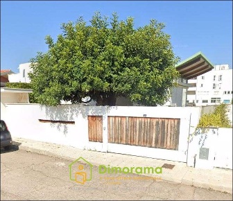 Foto Villa unifamiliare in Via del Palissandro 14, Olbia di 389 m² all'asta