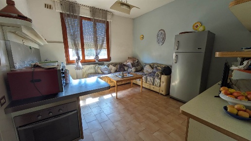 immagine annuncio 2 di 6