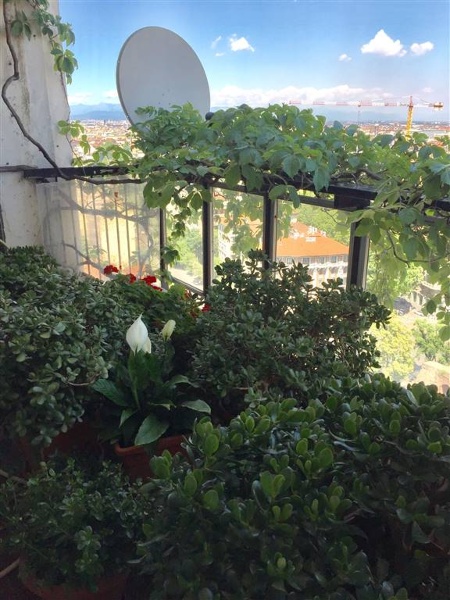 immagine annuncio 7 di 11