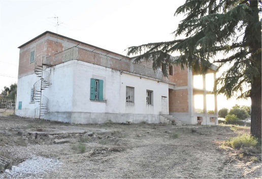 immagine annuncio 4 di 6