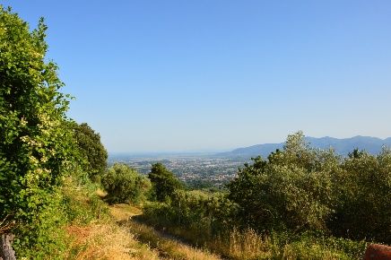 Foto Villa in Via della Chiesa XXIV, Capannori in vendita