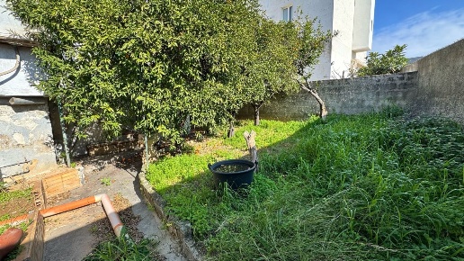 immagine annuncio 7 di 12