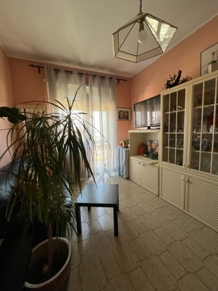 immagine annuncio 8 di 14