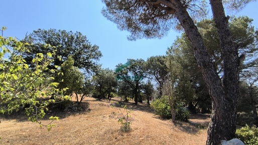 Foto Villa unifamiliare in Ctr. Ciminiera 62, Monopoli di 117 m² in vendita