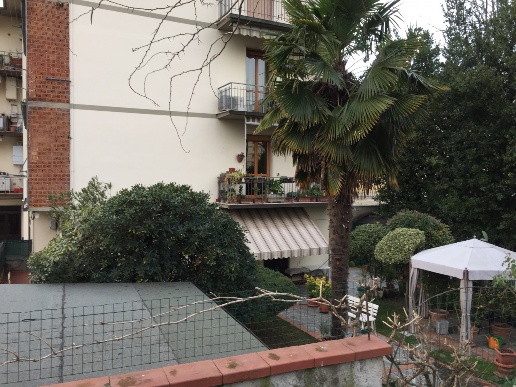 immagine annuncio 1 di 14