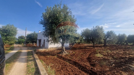 immagine annuncio 4 di 6