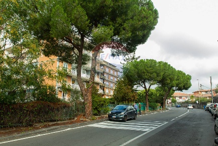 Foto Appartamento in Via Sebastiano Catania, Misterbianco in vendita