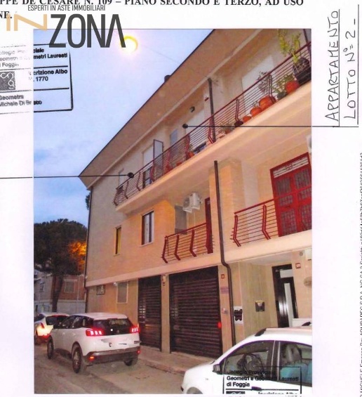 immagine annuncio 3 di 15