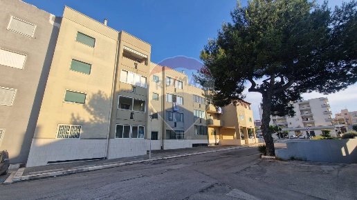 immagine annuncio 2 di 12