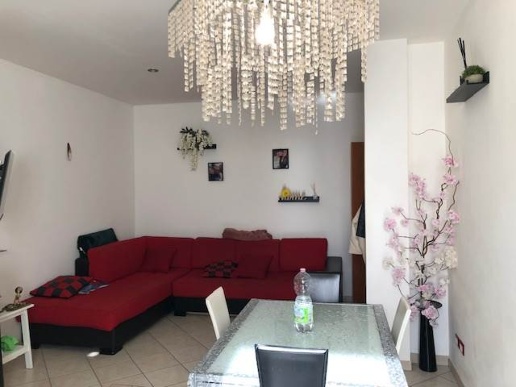 immagine annuncio 11 di 14