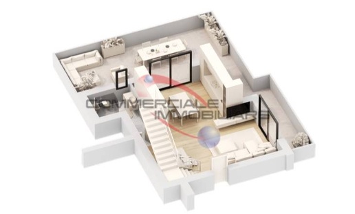 immagine annuncio 9 di 12