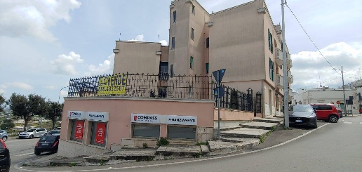 immagine annuncio 1 di 14