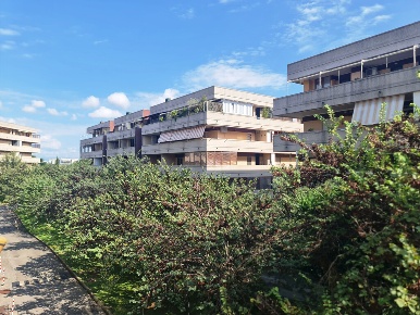 Foto Appartamento in Via Nino Taranto 30, Roma Malafede con 2 locali