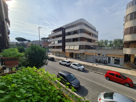 immagine annuncio 5 di 14