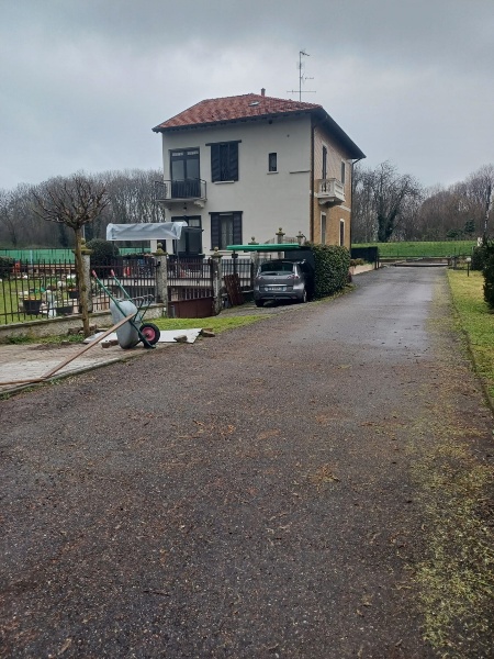 immagine annuncio 11 di 12