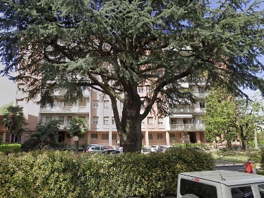 Foto Appartamento in Via Civenna  7a, Milano in vendita