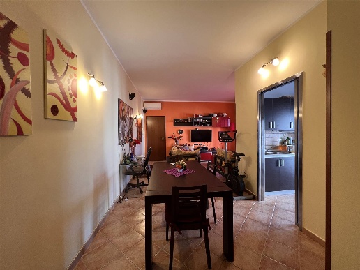 immagine annuncio 3 di 12