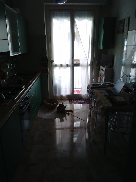 immagine annuncio 6 di 13