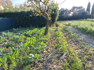 Foto Villa bifamiliare a Cascina Navacchio Nord - Zambra di 150 m²