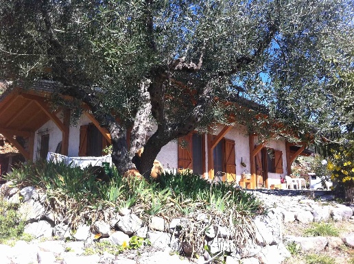 immagine annuncio 1 di 6