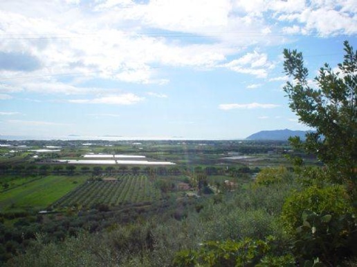 immagine annuncio 3 di 6