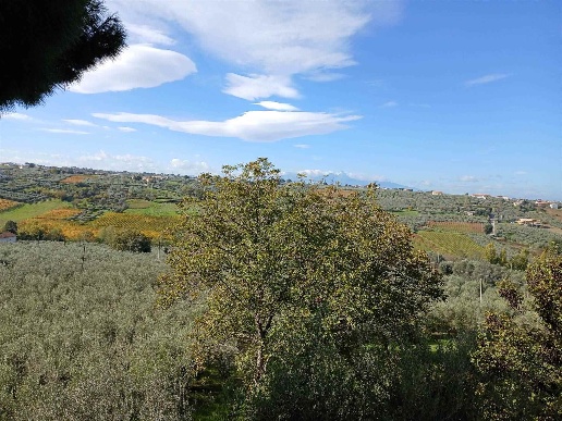 immagine annuncio 6 di 14