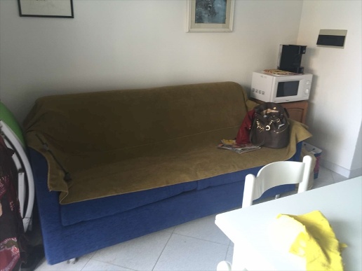 immagine annuncio 3 di 12