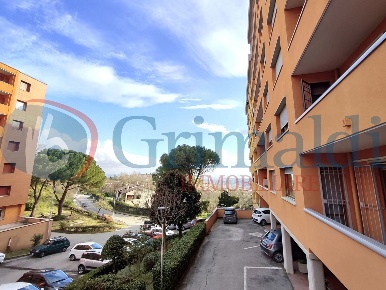 Foto Appartamento a Perugia in affitto