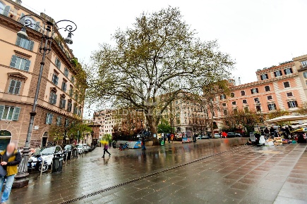 Foto Appartamento in Via Natale Del Grande, Roma in vendita