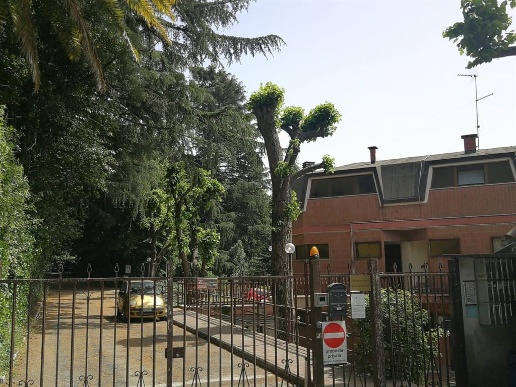 immagine annuncio 8 di 12