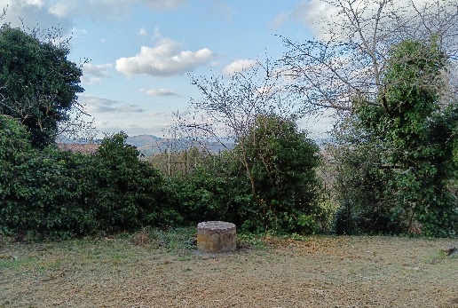 immagine annuncio 4 di 6