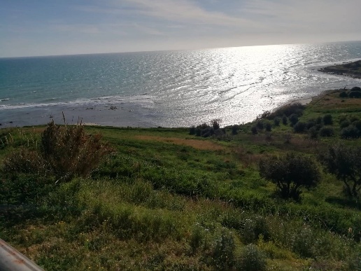 immagine annuncio 5 di 12
