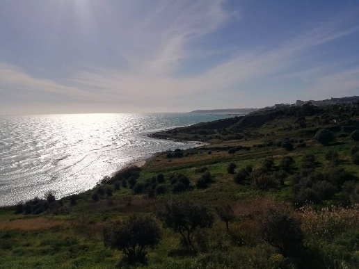 immagine annuncio 9 di 12