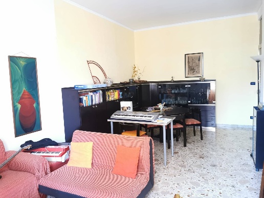 immagine annuncio 6 di 14