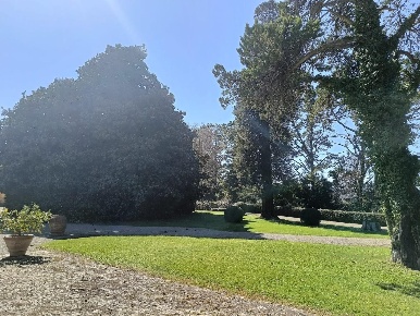 Foto Villa unifamiliare a Pisa San Francesco di 1500 m² con 15 locali